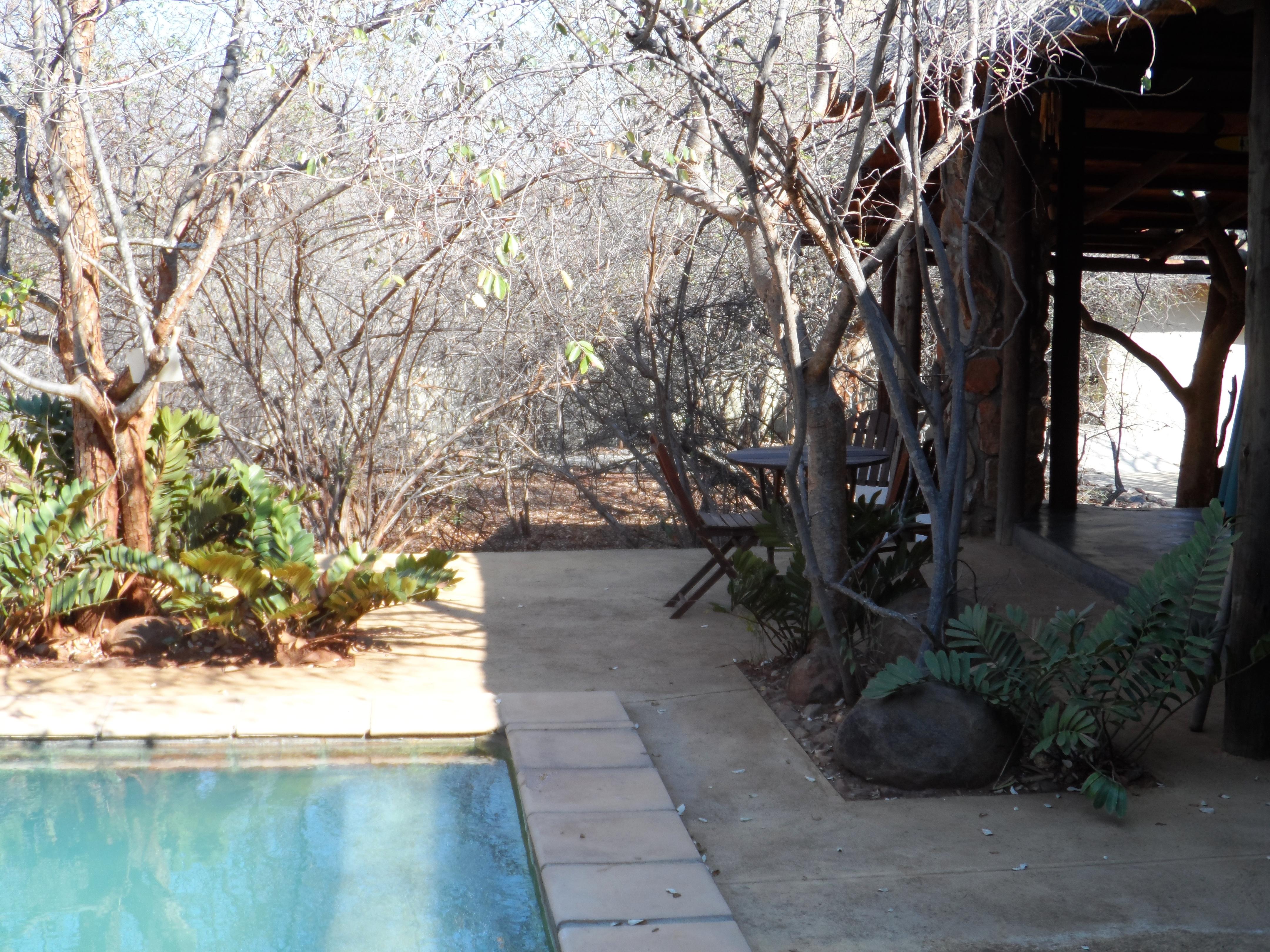 Shikwari Nature Reserve Hoedspruit Exteriér fotografie