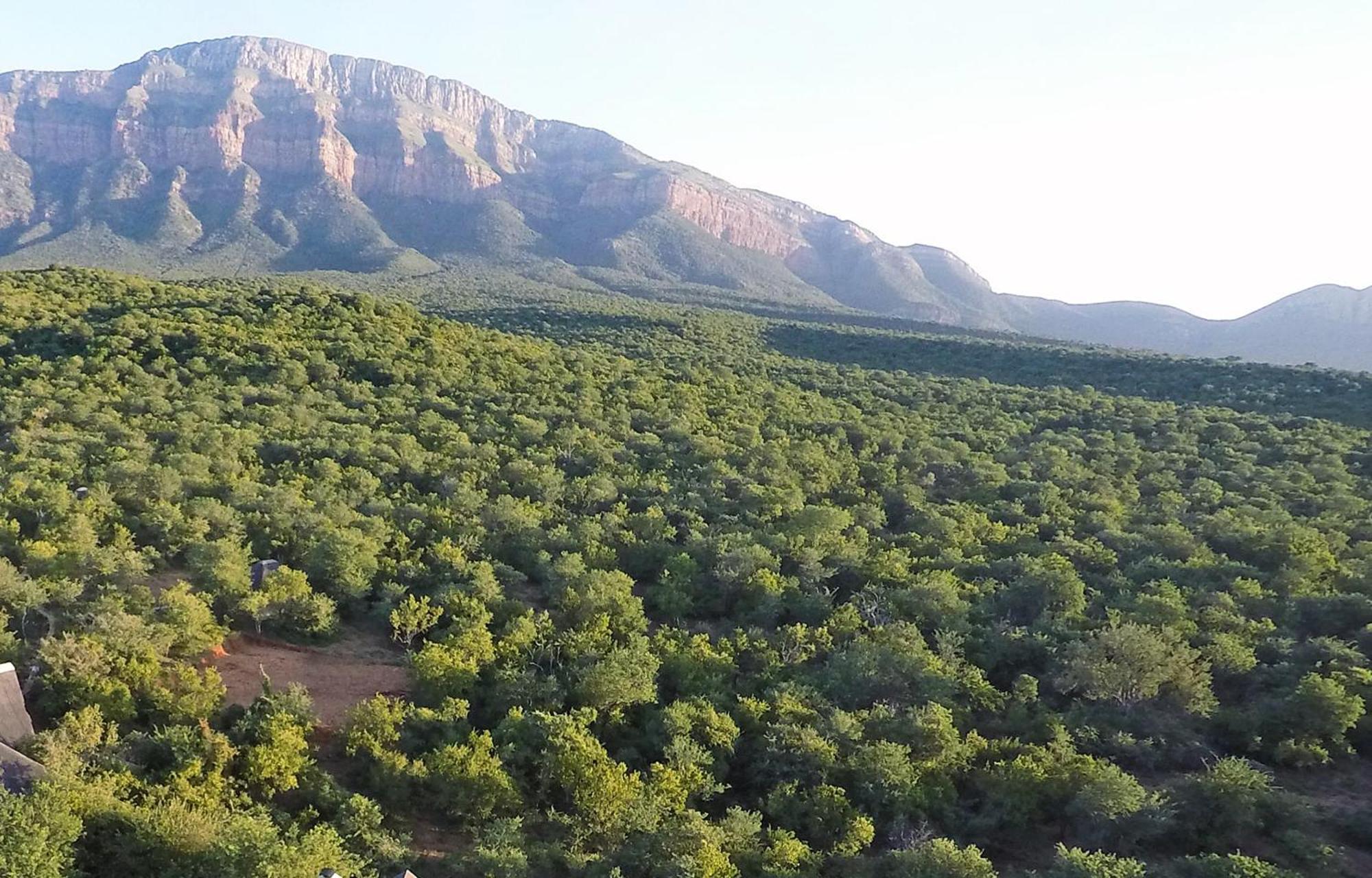 Shikwari Nature Reserve Hoedspruit Exteriér fotografie